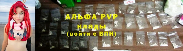 гашик Надым