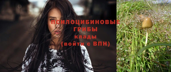 прущие грибы Россошь