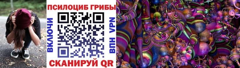 Галлюциногенные грибы мицелий  Курган 