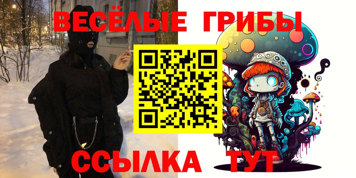 Псилоцибиновые грибы мицелий  Курган  Галлюциногенные грибы GOLDEN TEACHER 