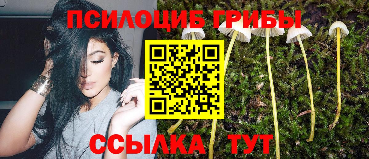 Курган  Псилоцибиновые грибы мицелий  Вход с VPN 